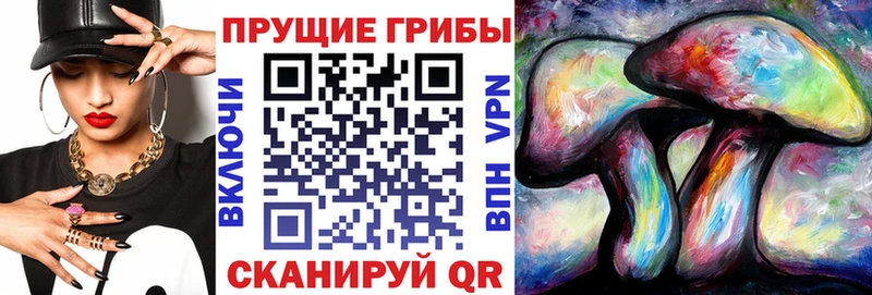 Псилоцибиновые грибы прущие грибы  Балабаново 